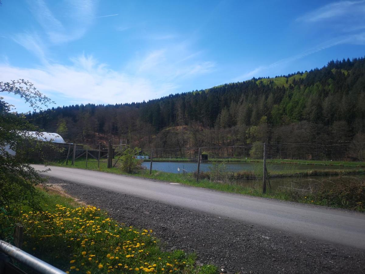 Ferienhaus Salmtal Himmerod Großlittgen Exteriér fotografie