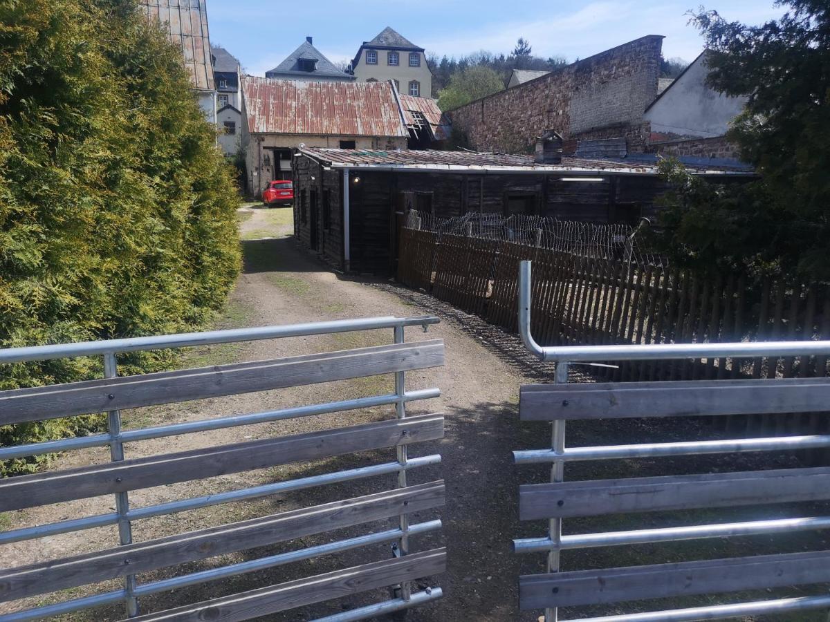 Ferienhaus Salmtal Himmerod Großlittgen Exteriér fotografie