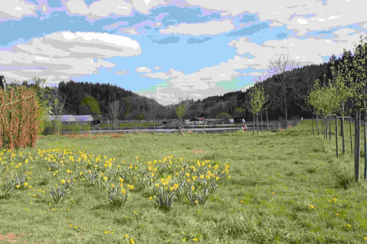 Ferienhaus Salmtal Himmerod Großlittgen Exteriér fotografie