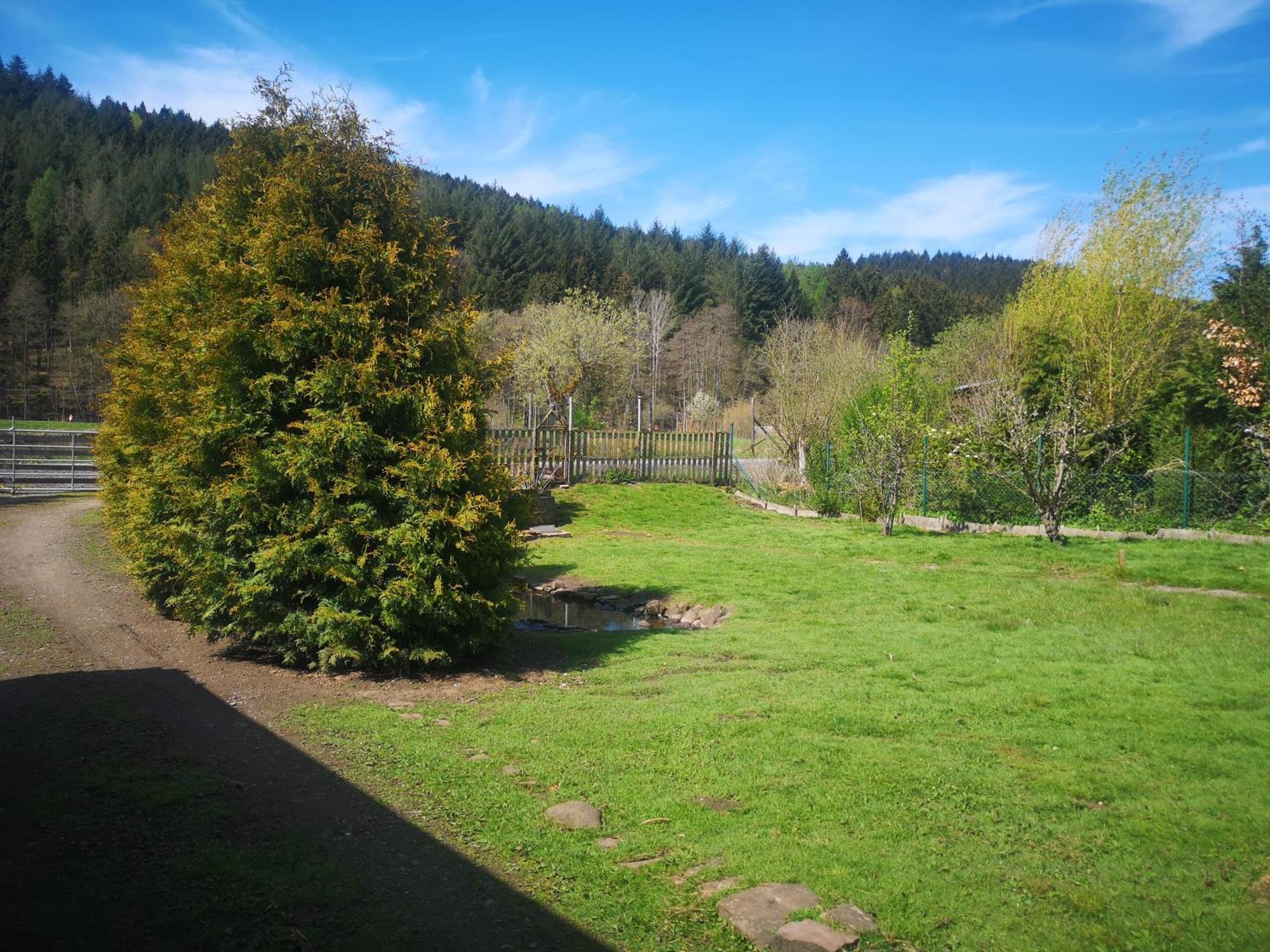 Ferienhaus Salmtal Himmerod Großlittgen Exteriér fotografie