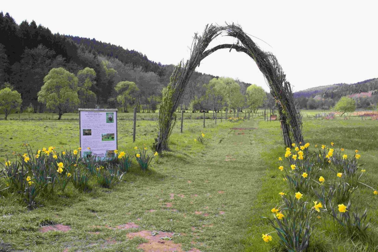 Ferienhaus Salmtal Himmerod Großlittgen Exteriér fotografie