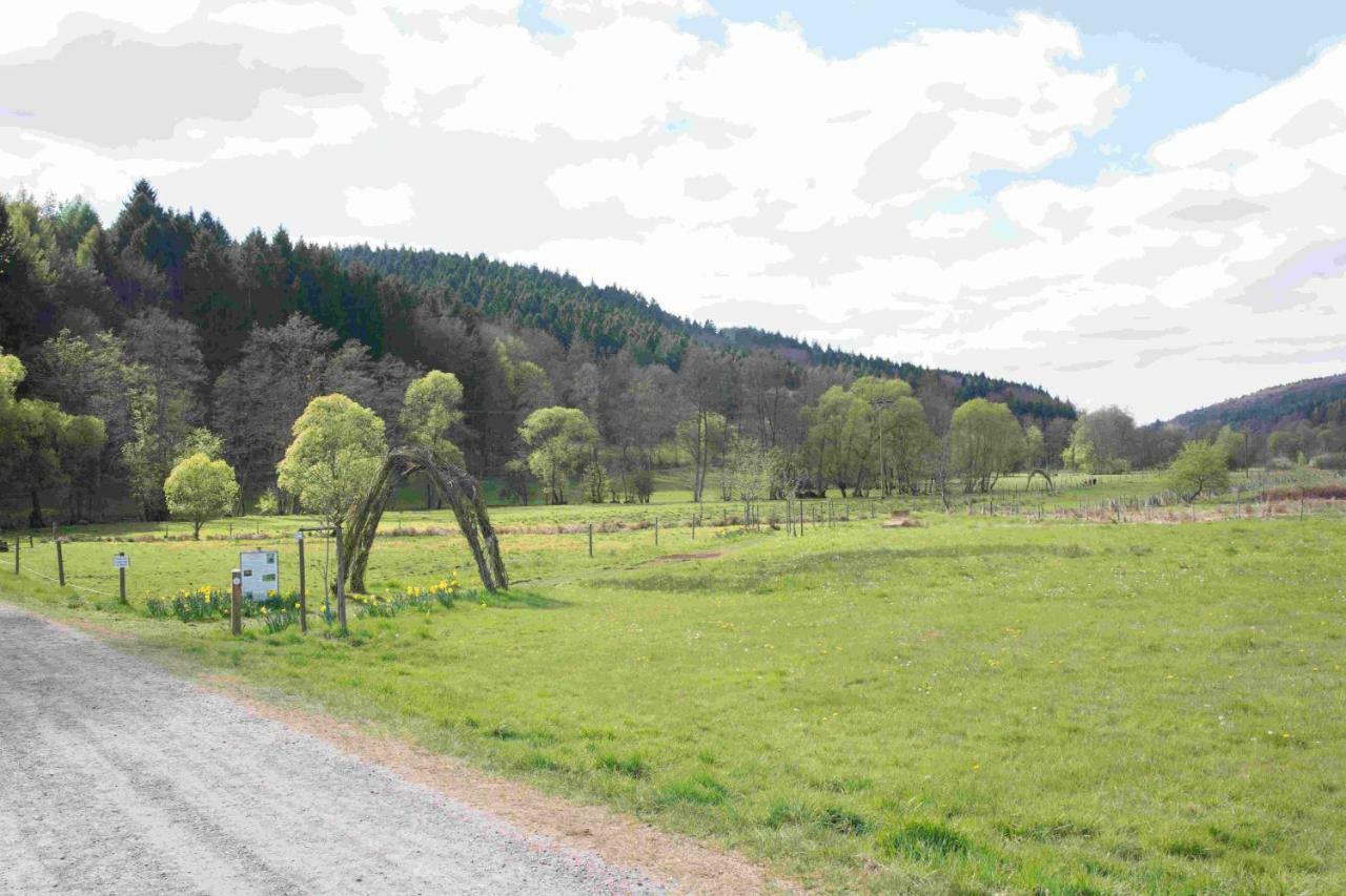 Ferienhaus Salmtal Himmerod Großlittgen Exteriér fotografie